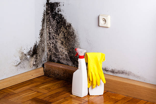 Water damage restoration experts in Elk Plain, WA